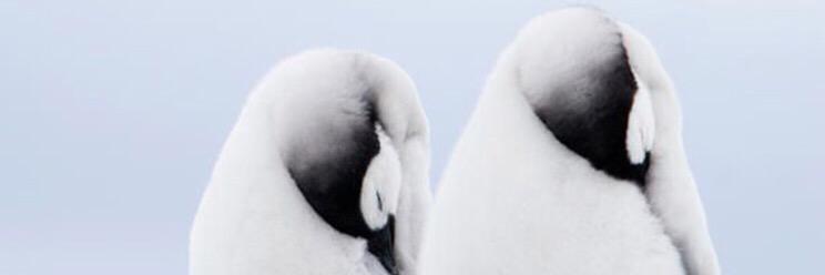 AmyIngoglia's profile banner image