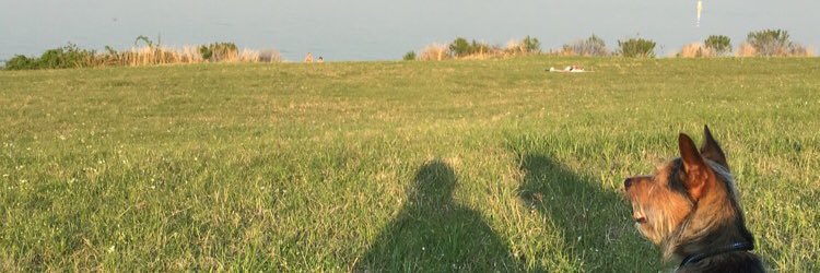 shelbs_nr's profile banner image