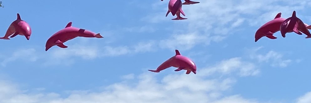 pms240's profile banner image