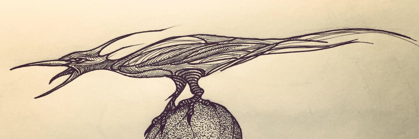 melihsancar's profile banner image