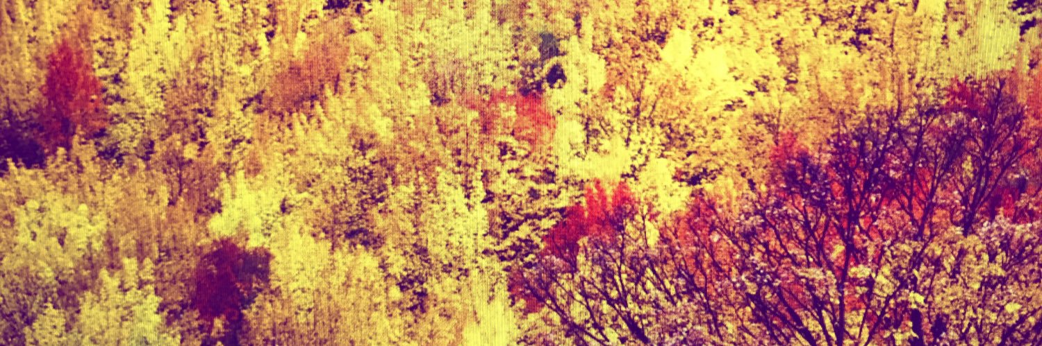 marissafindlay's profile banner image