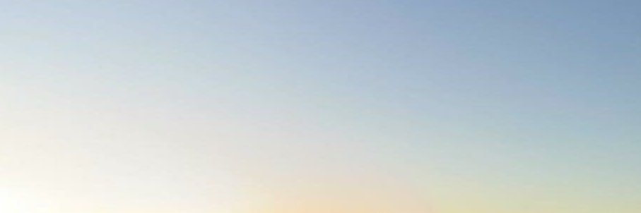 t. banner