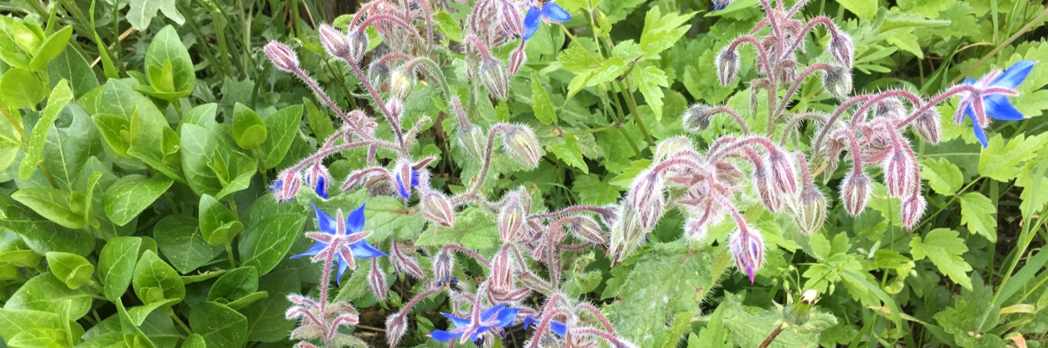 Marie-Pierre F banner