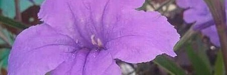 NafilAskme's profile banner image