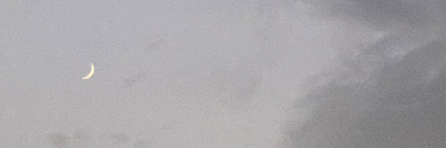 Rivesiete's profile banner image