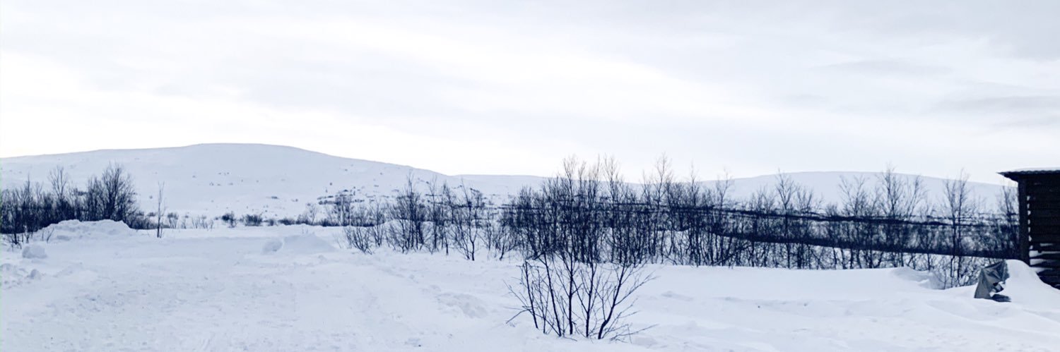 PeeGeeDiaries's profile banner image