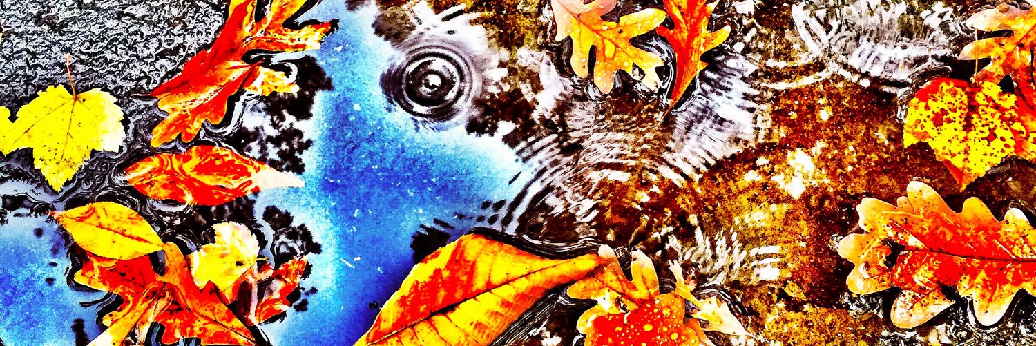 venaseph's profile banner image