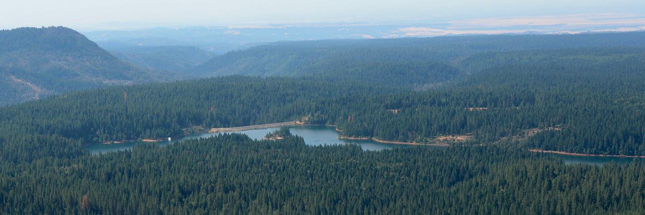 Paradise Post banner