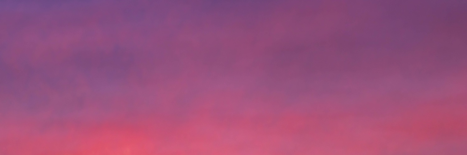 Ramin Thies, MD banner