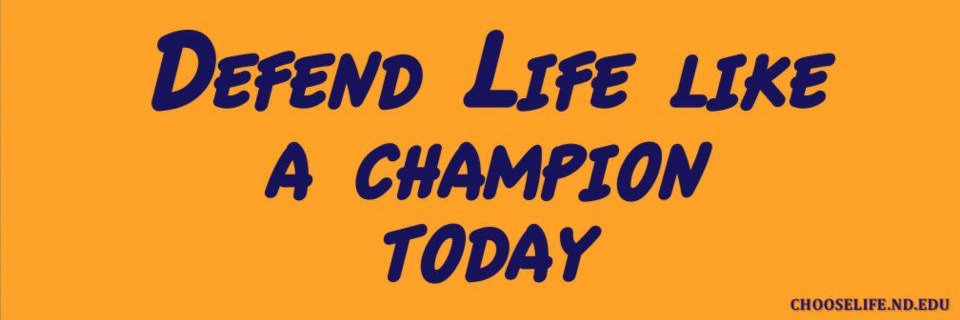 John Gerardi's banner