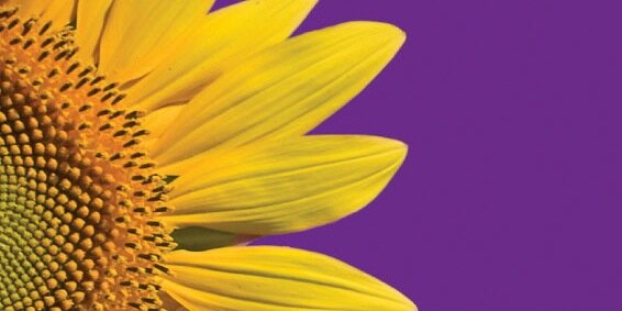 Pro-Development banner