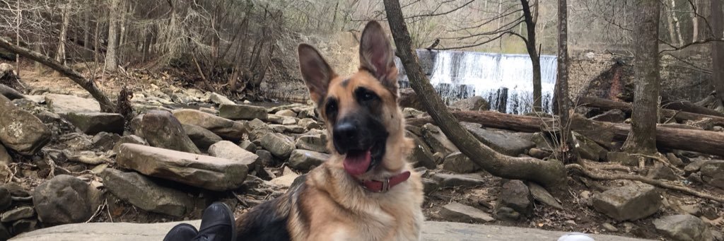 MADi_RO's profile banner image