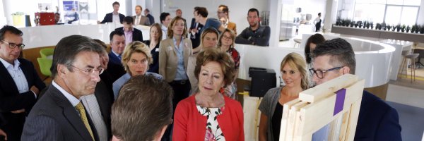 domexoss Profile Banner