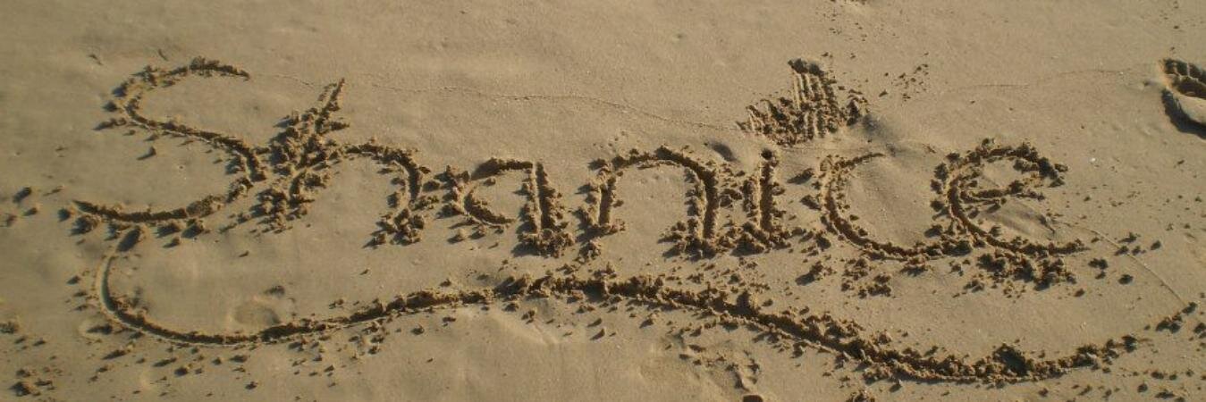 Shan banner
