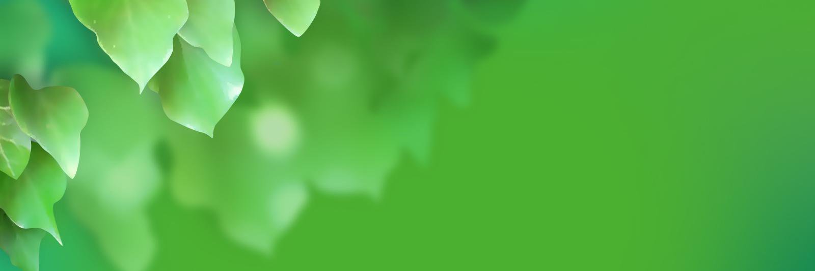 Adrian Serengau 🇷🇴🇪🇺🇺🇦 banner