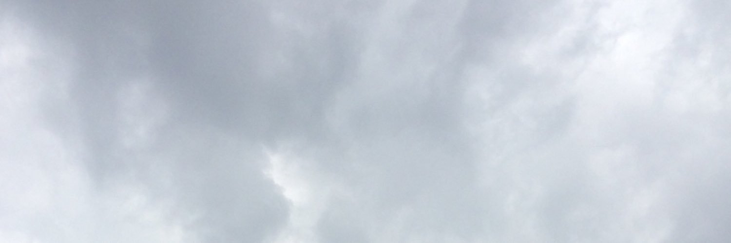 Deborah Phares banner