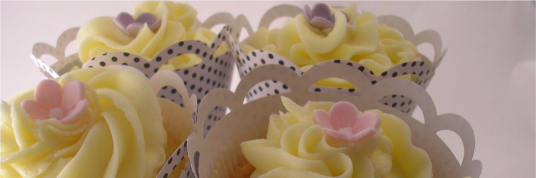 cupcake_boxes's profile banner image