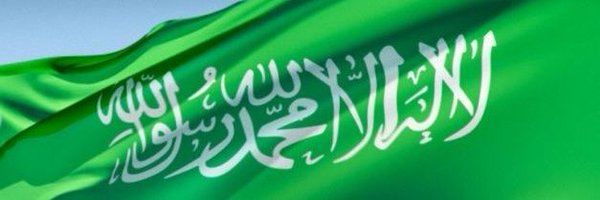 msyw2014 Profile Banner