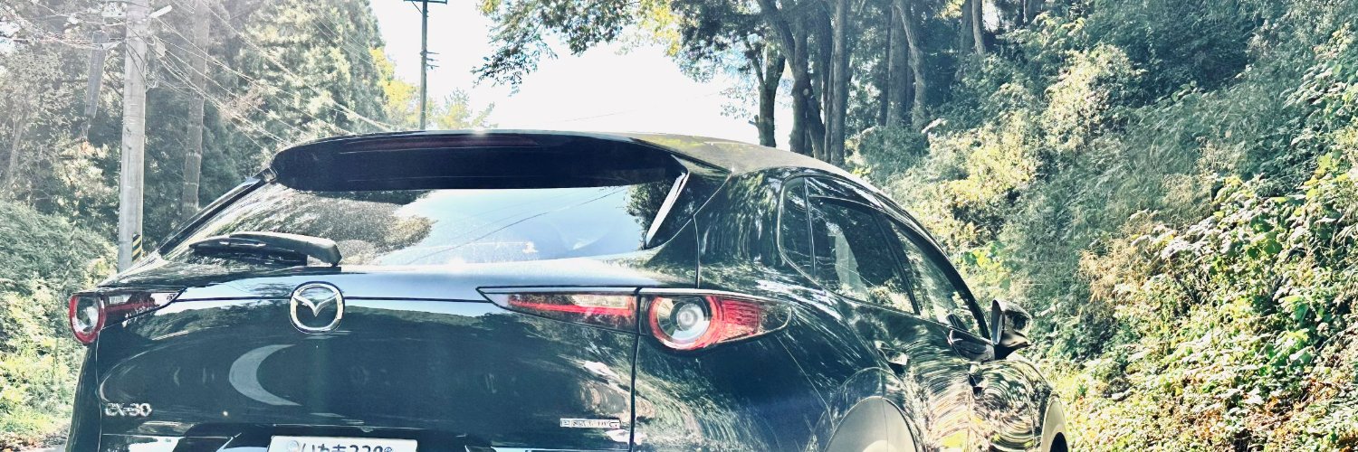 cx30_310's profile banner image