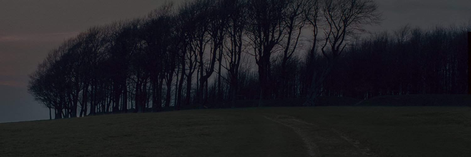 allangrainger's profile banner image