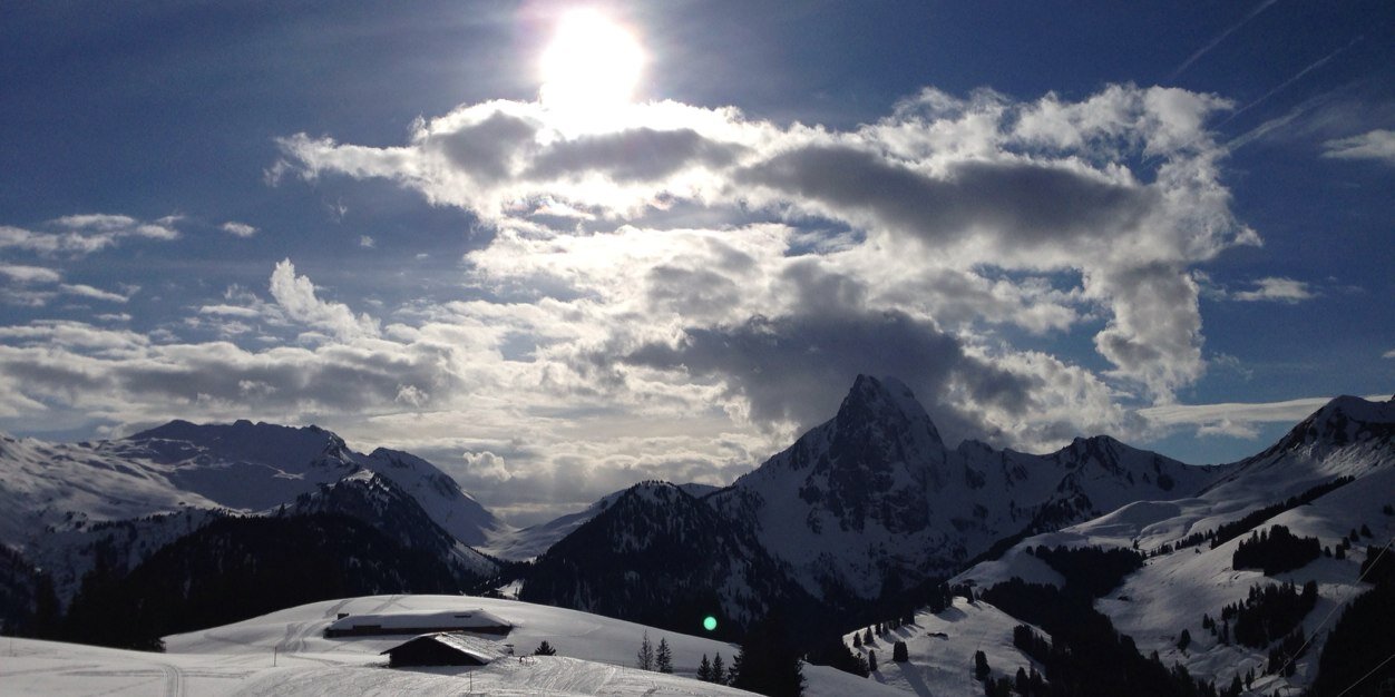 Andrew Nelson banner