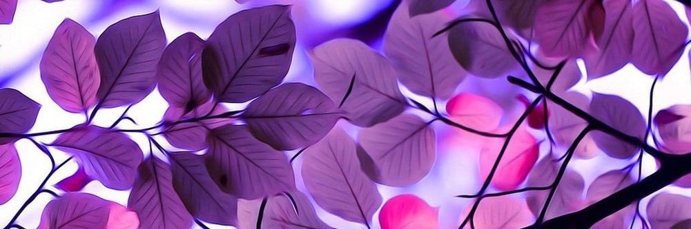 Fiery_Girl4's profile banner image