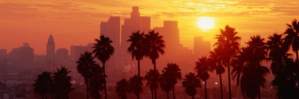 crazyauntpurl Profile Banner