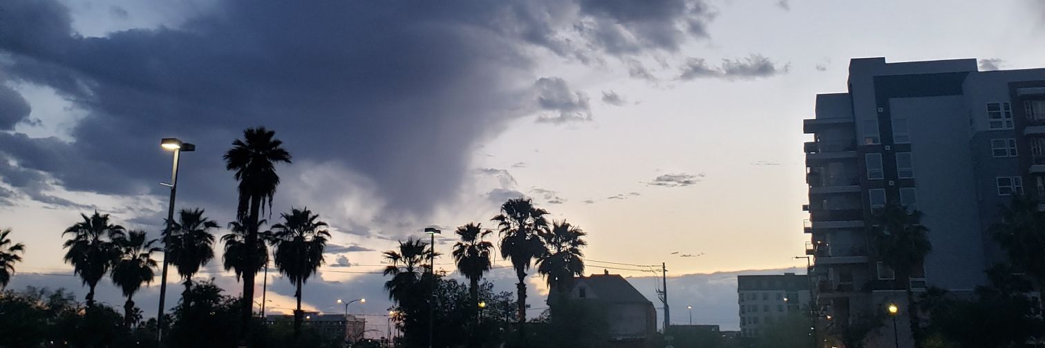 Jason Patrick banner