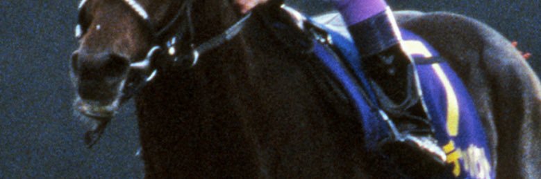 r914510's profile banner image