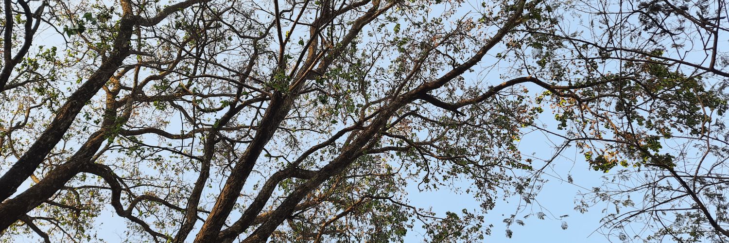 वैद्य देवश्री | ਦੇਵਸ਼੍ਰੀ ਖਰੇ 🇮🇳 banner