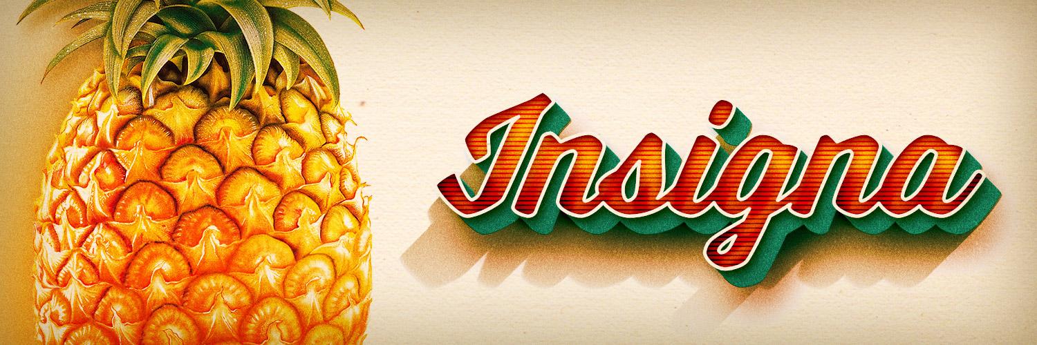 InsignaDesign's profile banner image
