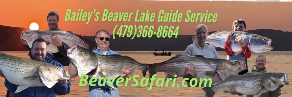 Bailey's Beaver Lake Striper Guide Service banner