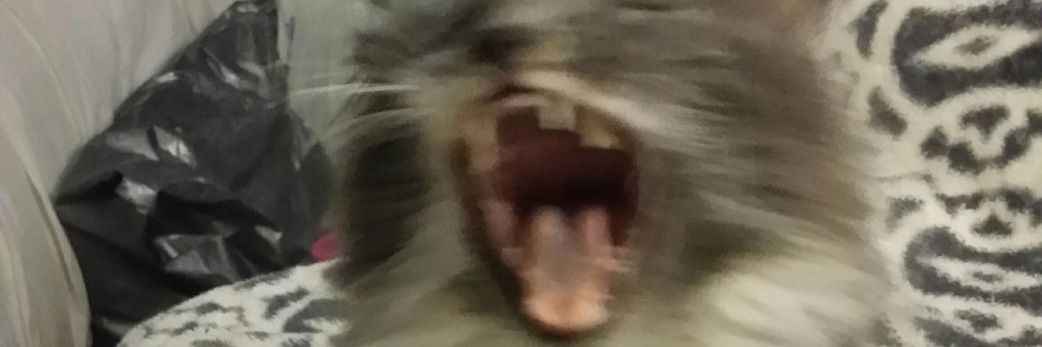 bamabev79's profile banner image