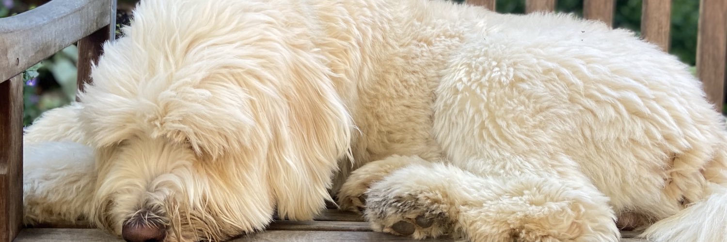 Sen. Drew Hansen banner