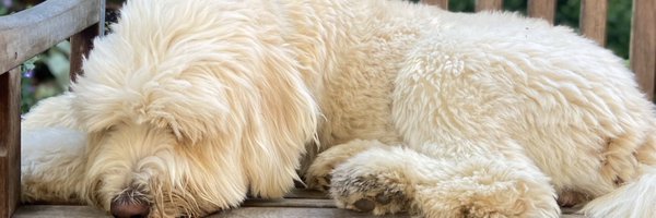 RepDrewHansen Profile Banner