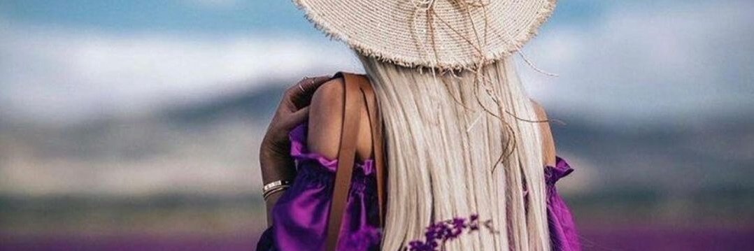 0_bebo's profile banner image