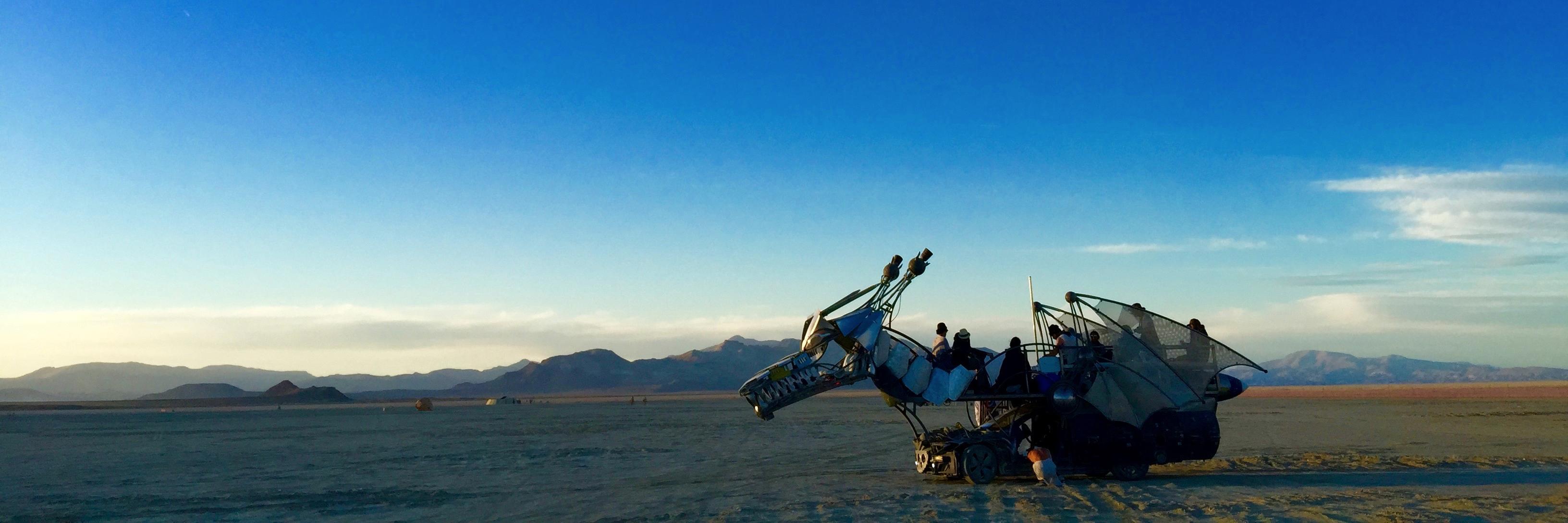 Dominic Bortolussi banner