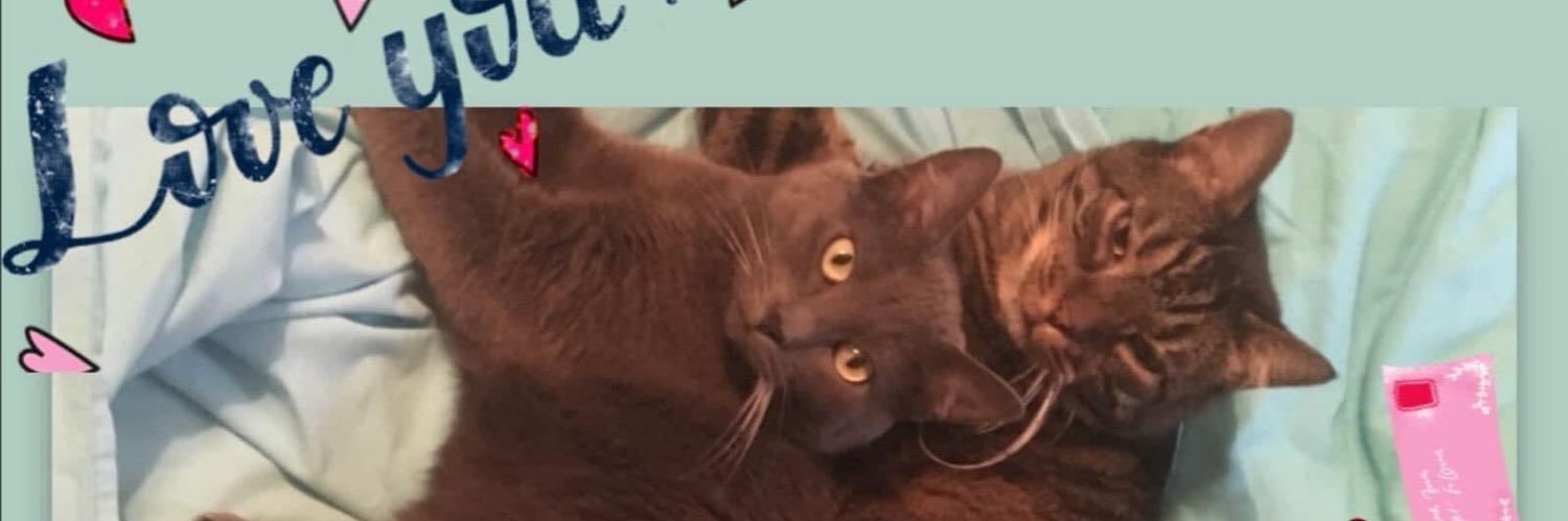 dkounenou's profile banner image