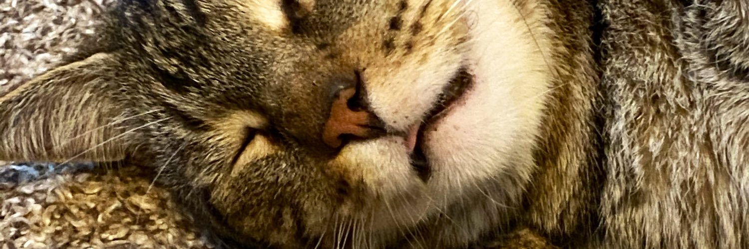 cheyizzle's profile banner image