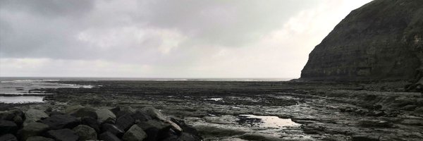 akki1234 Profile Banner