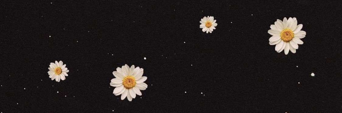 fior3ll1no's profile banner image