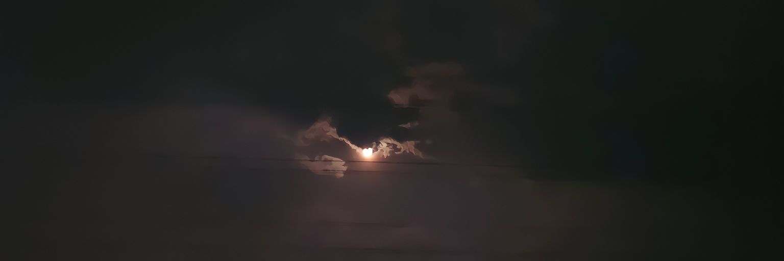 ndon_elpapi's profile banner image