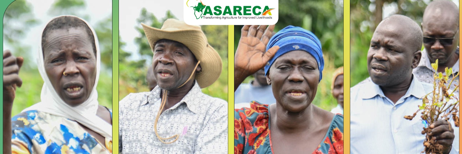 ASARECA's profile banner image