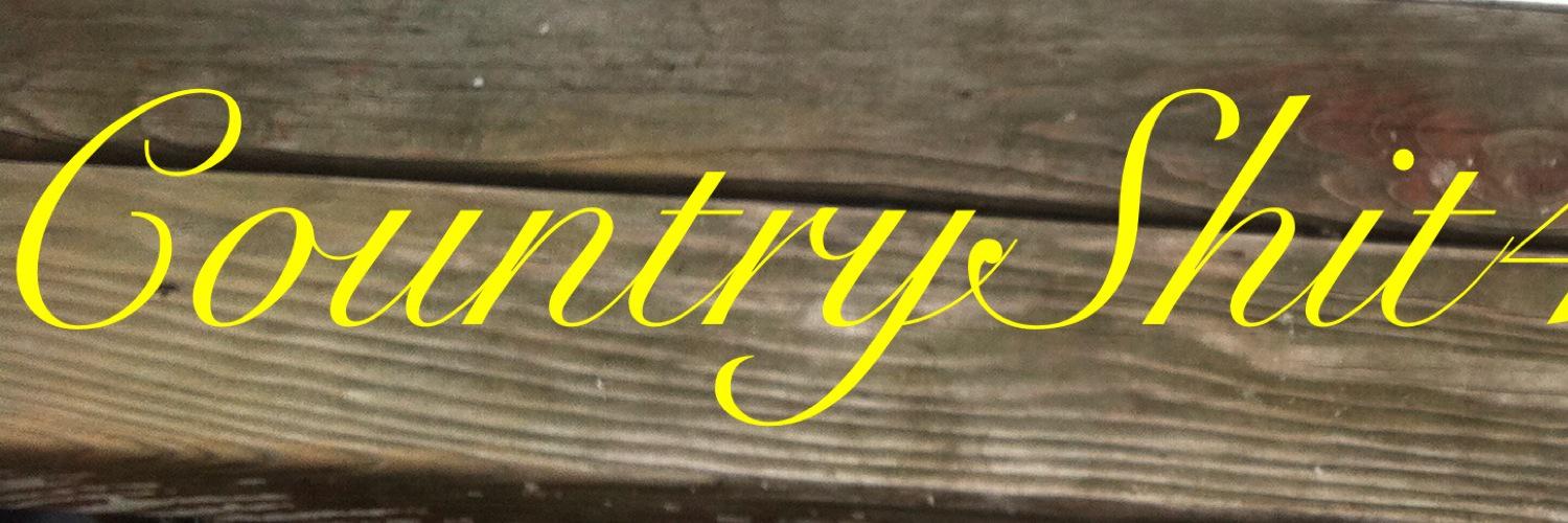 CountryShz4Real's profile banner image