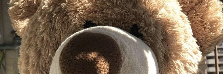 yu_11n's profile banner image