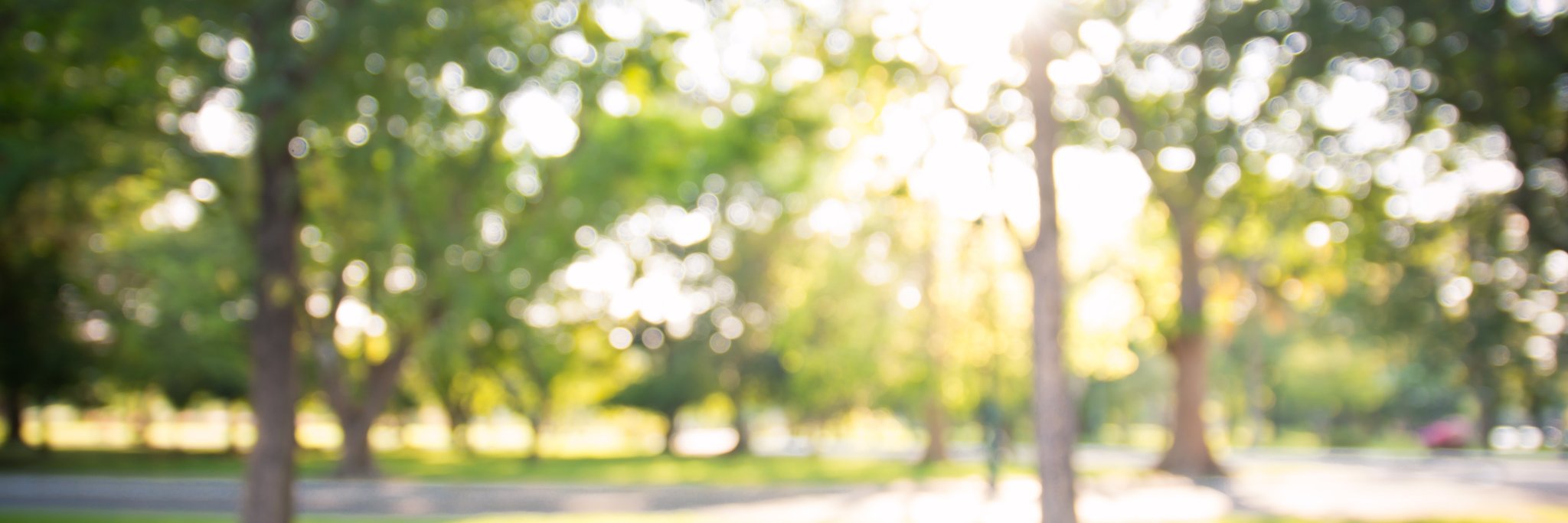 MMU Community banner