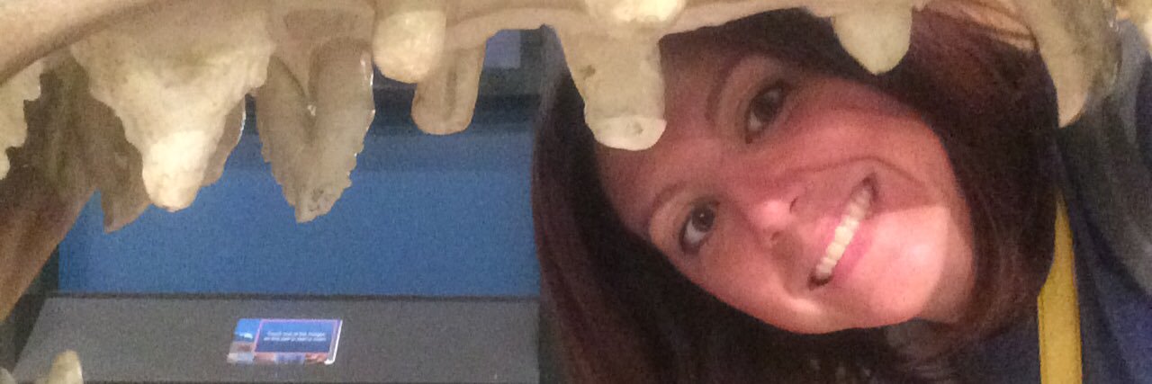 DinoDiva's profile banner image
