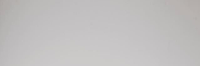 Rodrigo Guardiola banner