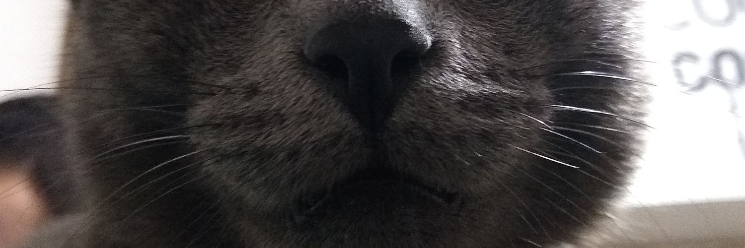 LeonPamee's profile banner image