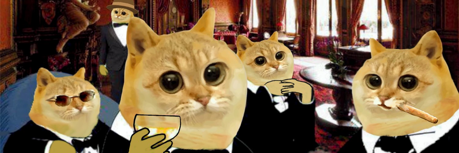 CATCOIN (ETH) banner